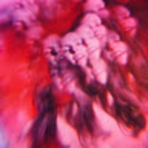 Meet your Posher, Sofia